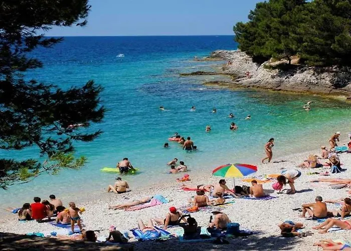 Lejlighed Niksa Pula